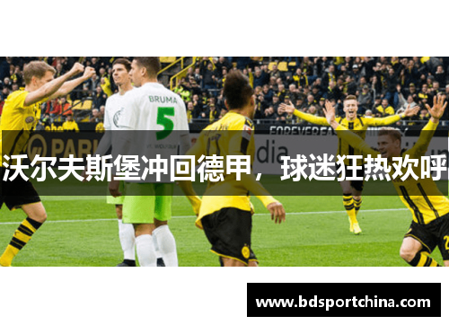 沃尔夫斯堡冲回德甲，球迷狂热欢呼