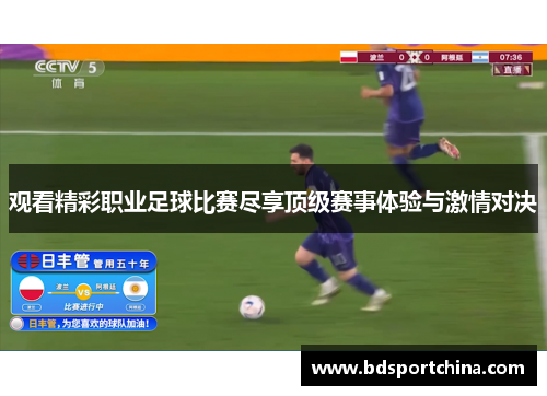 观看精彩职业足球比赛尽享顶级赛事体验与激情对决