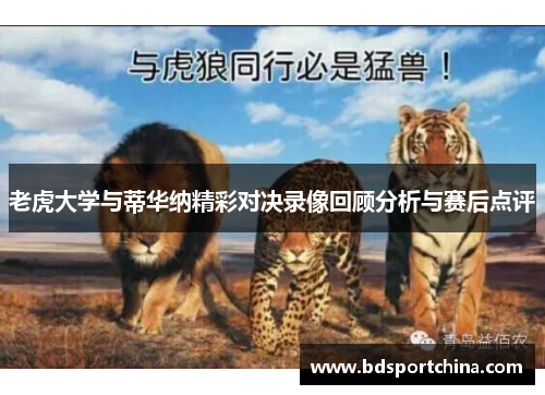老虎大学与蒂华纳精彩对决录像回顾分析与赛后点评